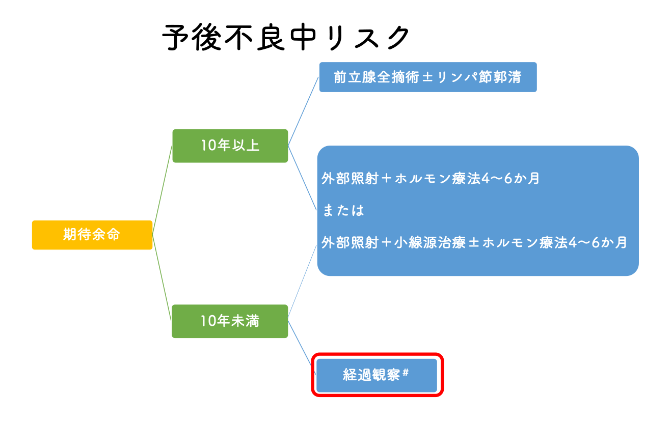 NCCN診療ガイドライン（2021年 version 4）に基づく予後不良中リスクにおける治療選択肢