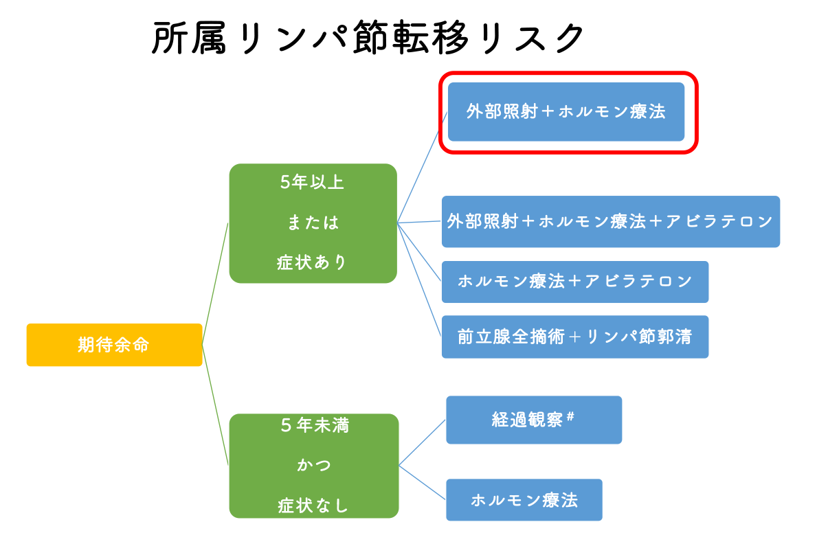 NCCN診療ガイドライン（2021年 version 4）に基づく所属リンパ節転移リスクにおける治療選択肢