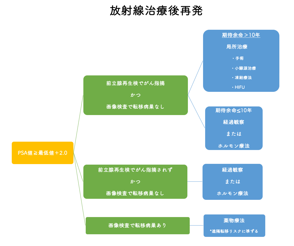 NCCN診療ガイドライン（2021年 version 4）に基づく放射線治療後再発時における治療選択肢